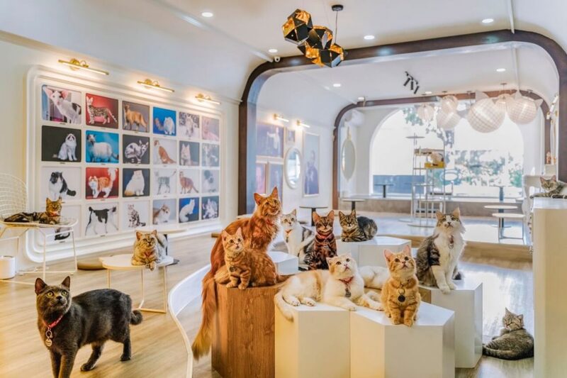 Cách trang trí quán trà sữa bình dân khiến khách hàng “mê mẩn”